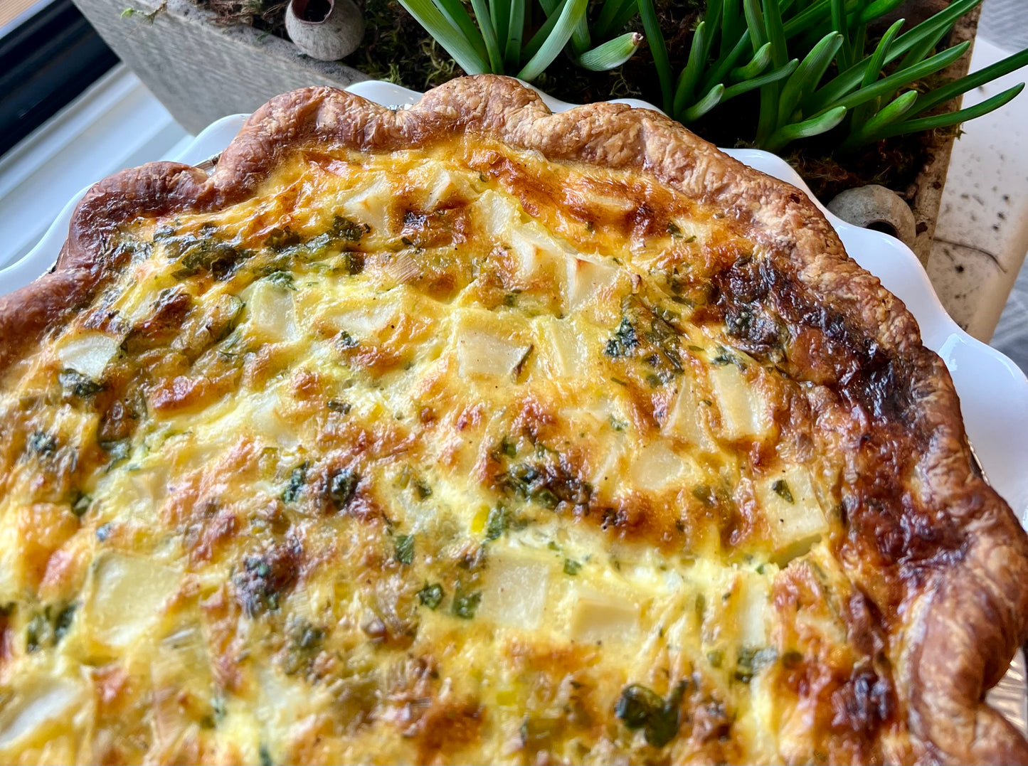 A Perfect Quiche - Four Cheese & Scallion