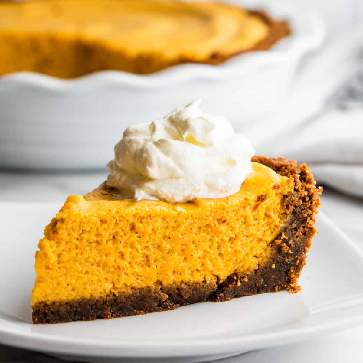 Pumpkin Chiffon with Gingersnap Crust